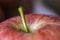 Apple stem