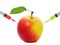 Apple stuck with syringe, Concept of genetic modification of fruits