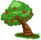 Apple tree