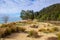 Apple Tree Bay sandy beach, Abel Tasman National Park, South Island, New Zealand