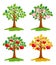 Apple-tree at different seasons