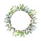 Apple tree floral round frame. Delicate design for wedding white flowers, green leaves and branches. Colorful objects