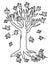 Apple Tree Isolated Coloring Page for Kids