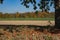 Apple tree in landscape on route called Fachwerkstrasse, Germany