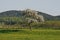 Apple tree in spring, Lower Saxony, Germany