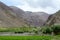 Apple trees at the green valley in Leh, India