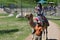 APPLE VALLEY, MINNESOTA- June 2017: Camel rides at the Minnesota Zoo in Apple Valley, MN.