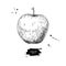 Apple vector drawing. Hand drawn isolated fruit. Summer food