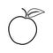 Apple vector icon outline style on white background