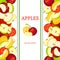 Apple vertical seamless border. Vector illustration fruit coposition Yellow red and green apples fruits whole slice