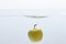 Apple washing in pure, transparent water, copy space.