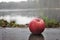 Apple on wet boards against the background of the lake