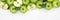 Apples apple fruit fruits banner green copyspace top view