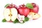 Apples apple red fruit fruits slice sliced half isolated on whit