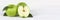 Apples apple slice fruit fruits green banner copyspace on wooden