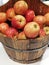 Apples in a barrel