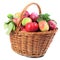 Apples in the basket, isolated.