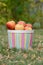 Apples in a colorful basket