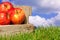 Apples in a crate on grass with blue cloudy sky