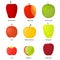 Apples Different Varieties with a Description Set. Vector