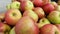 Apples - farmers\' market