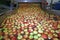 Apples floating in a fruit packing warehouse