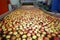 Apples floating in a fruit packing warehouse