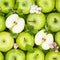 Apples fruits green apple fruit square background with leaves and blossoms