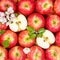 Apples fruits red apple fruit background square with leaves and blossoms