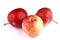 Apples Gala grade red white background