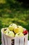 Apples Golden in a wooden fruit basket