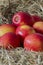 Apples, Jazz apple variety, on a hay straw background