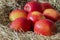 Apples, Jazz apple variety, on a hay straw background