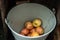 Apples in a metal bucket