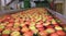 Apples packing warehouse