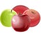 Apples are red and green. Ripe and unripe. Fruits. Vector illustration. Isolated objects.