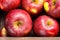 Apples. Ripe red apples in a wooden box. Red apples. Fruits.