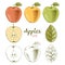 Apples set