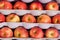 Apples stacked in shipping trays