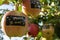 Apples with stickers with text Merry X-mass in tree