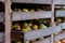 Apples stored in wooden drawers in rural Somerset, near Bradford on Avon. The apples are used to make cider. Photographed in autum