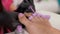 Applying the polish to toenails. Closeup of woman feets. Beaty salon. Pedicure.