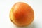 Appricot 1