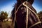 Approach of the head of a black horse tied with ropes