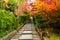 An approach to Kodaiji temple  framed by vibrant fall colours.