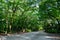 Approach to Shimogamo-jinja Shrine of fresh verdure in the evening, Kyoto, Japan