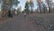 Approaching Cinder Cone in Lassen Volcanic