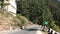 Approaching the descending hairpin road on mountain himalaya at Naldehra Shimla Himachal Pradesh