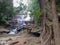 Approaching a hidden waterfall in a forest in northern Thailand