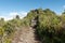 Approaching the peak of Machu Picchu Mountain 02